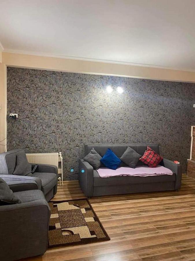 Bakuriani Resort Cottage 1 Storey Экстерьер фото