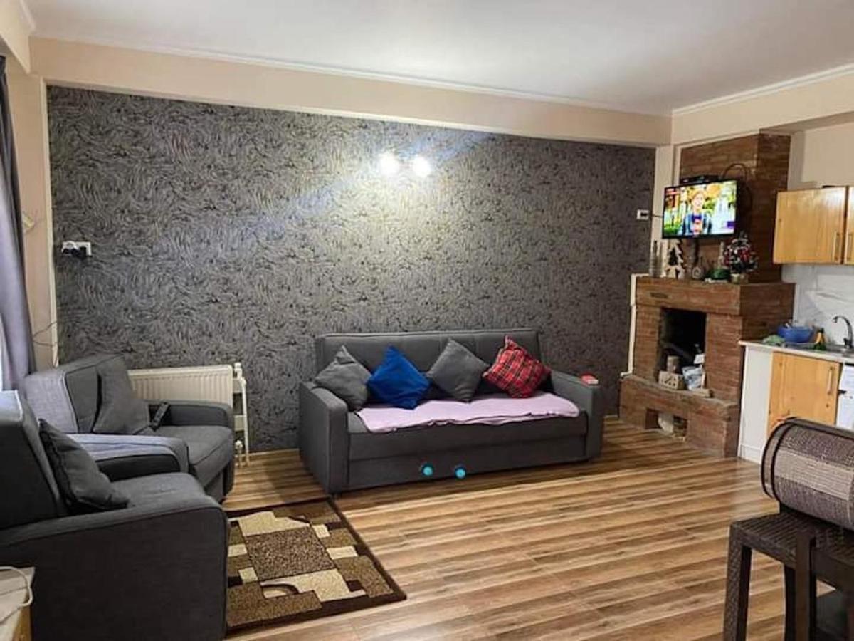 Bakuriani Resort Cottage 1 Storey Экстерьер фото
